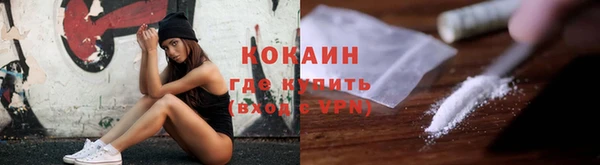 шишки Тавда