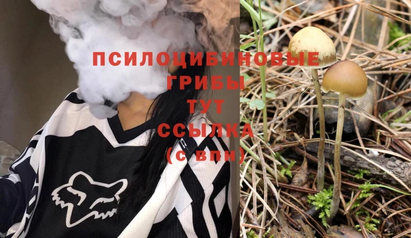 синтетический гашиш Приозерск