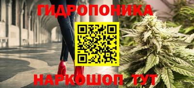 кокс Гай