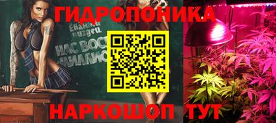 хмурый Гатчина