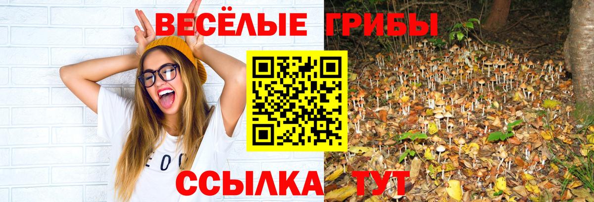 Галлюциногенные грибы GOLDEN TEACHER  Вход с VPN  Тулун 